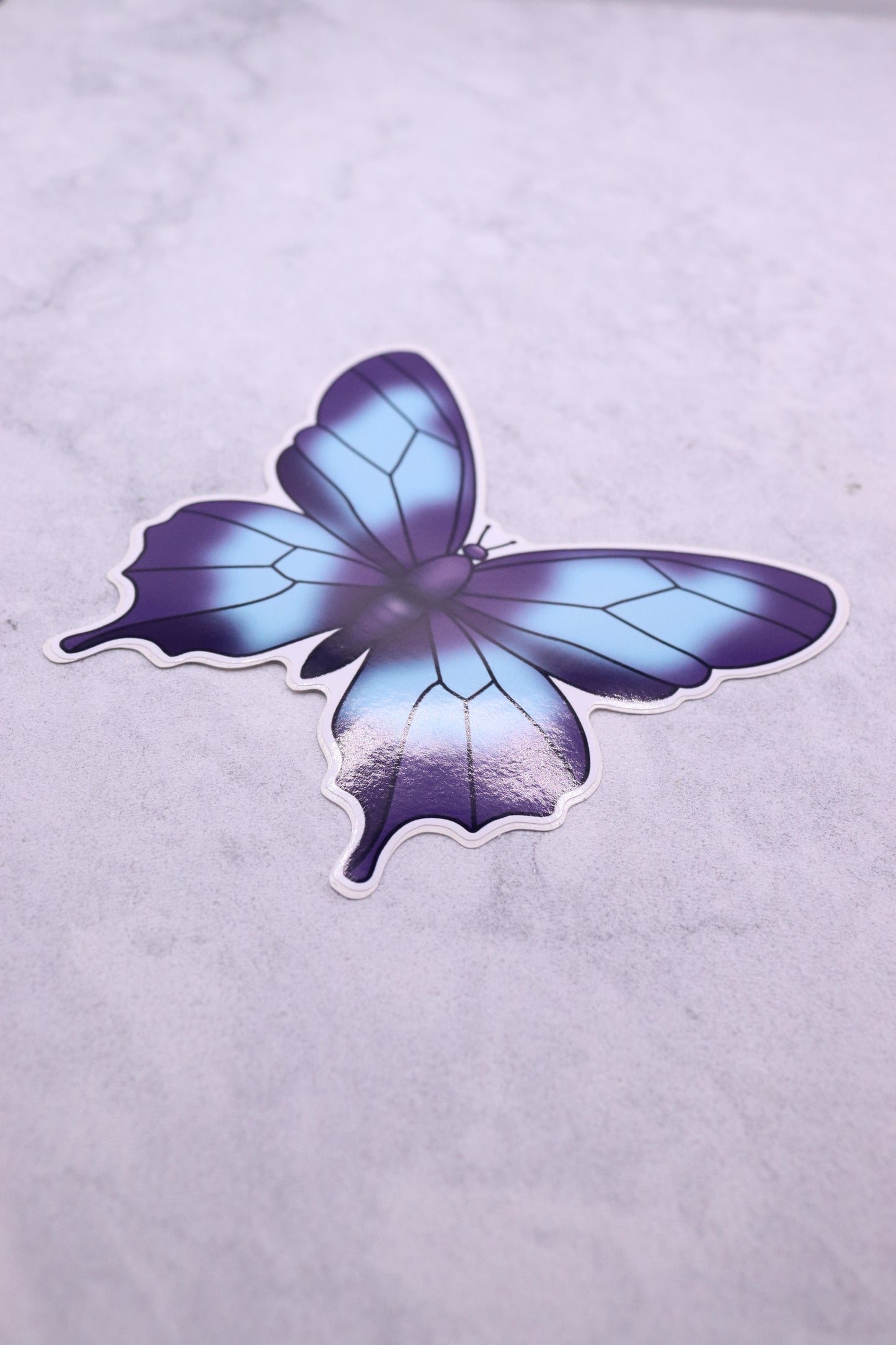 Blue and Purple Butterfly