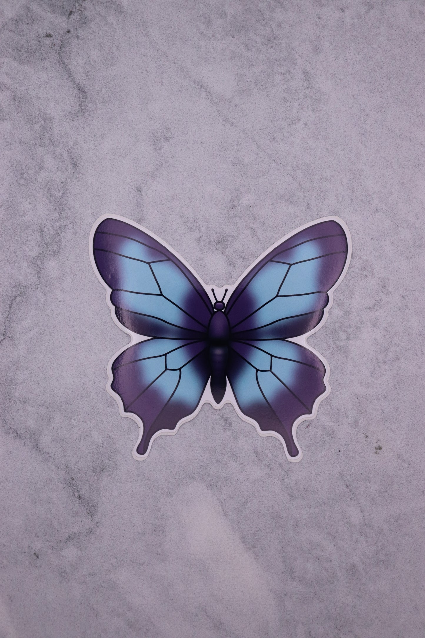 Blue and Purple Butterfly