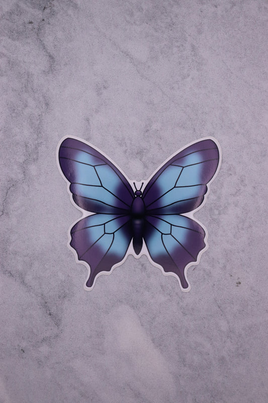 Blue and Purple Butterfly
