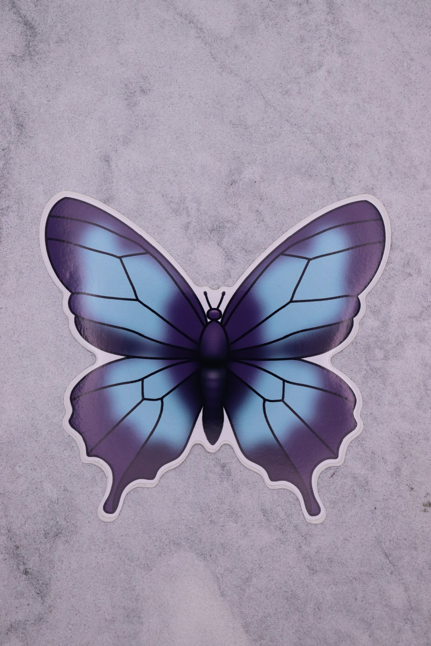 Blue and Purple Butterfly