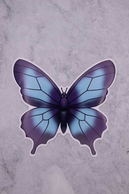 Blue and Purple Butterfly